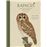 Rapaces Que Vuelan En El Dia Y En La Noche