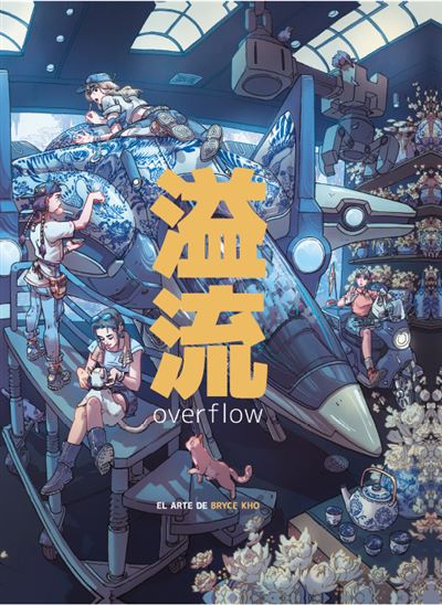 Marcombo Overflow