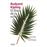 El Libro De La Selva