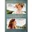 La gaviota - DVD_0