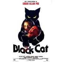 El Gato Negro (1981) - DVD