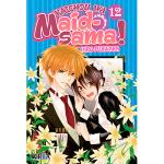 Kaichou Wa Maid-Sama! 12