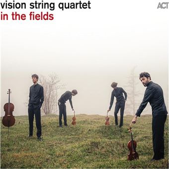 In The Fields - Vinilo