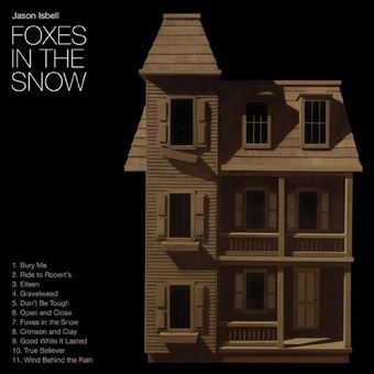 Foxes in the snow