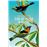 Eloge Des Oiseaux De Passage