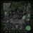 The Devil and His Wicked Ways - CD