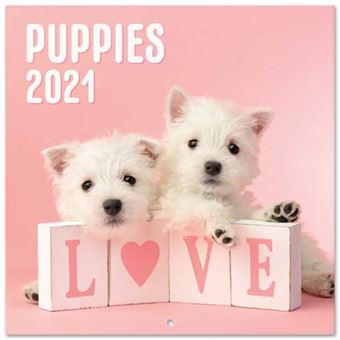 Studio Pets Calendario de pared cuadrado Westies 2020 