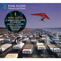 A momentary lapse of reason - Remixed & Updated