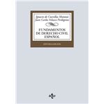Fundamentos de Derecho Civil español