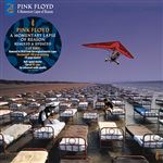 A momentary lapse of reason - Remixed & Updated – 2 Vinilos