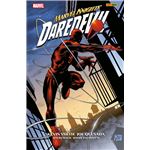 Marvel Knights Daredevil