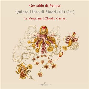 Gesualdo-5Th Madrigalbook - CD