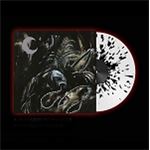 A Silhouette in Splinters - 2 vinilos