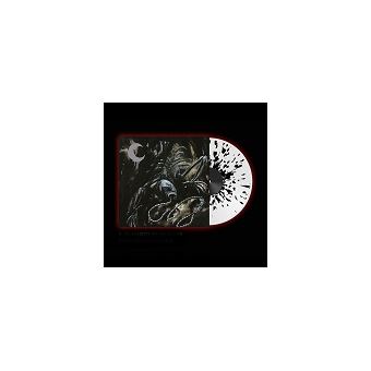 A Silhouette in Splinters - 2 vinilos