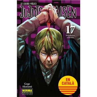 Jujutsu Kaisen 17 Catala