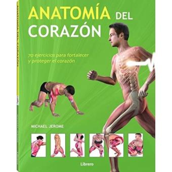 Anatomia del corazon