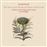 Haydn-Seven Last Words Of Christmas - CD