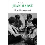 Si te dicen que caí