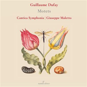 Guillaume Dufay Motets - CD