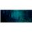 Kryptic - Blu-ray
