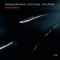 Angular Blues - Vinilo