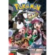 Pokémon negro y blanco 4 (Vol. 29)