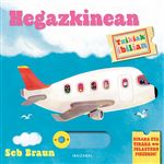 Hegazkinean