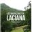 Los abedulares de laciana