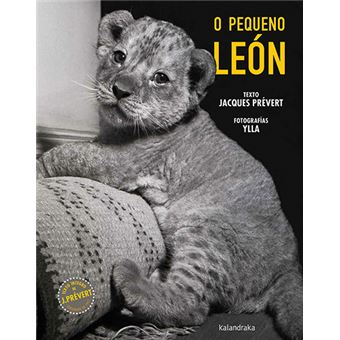 O pequeno león - 1