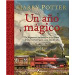 Harry potter-un año magico