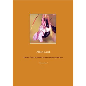 Herbes, fleurs et insectes avant la sixième extinction - 1