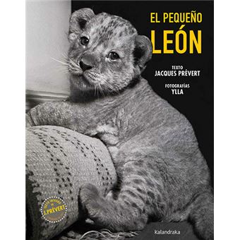 El pequeño león