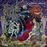 A social grace (2cd)