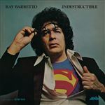 Indestructible - Vinilo