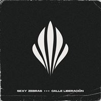 Calle Liberación - Vinilo