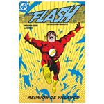 The Flash La Coleccion Completa 2