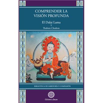 Comprender La Vision Profunda