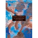 La ambigüedad cervantina