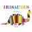 Irisaurus