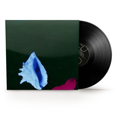 Default Constructor Touched By The Hand Of God - Vinilo
