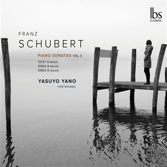 Schubert-Piano Sonatas