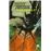 Batman Asilo Arkham Purgatorio