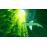 Abzû PS4_4