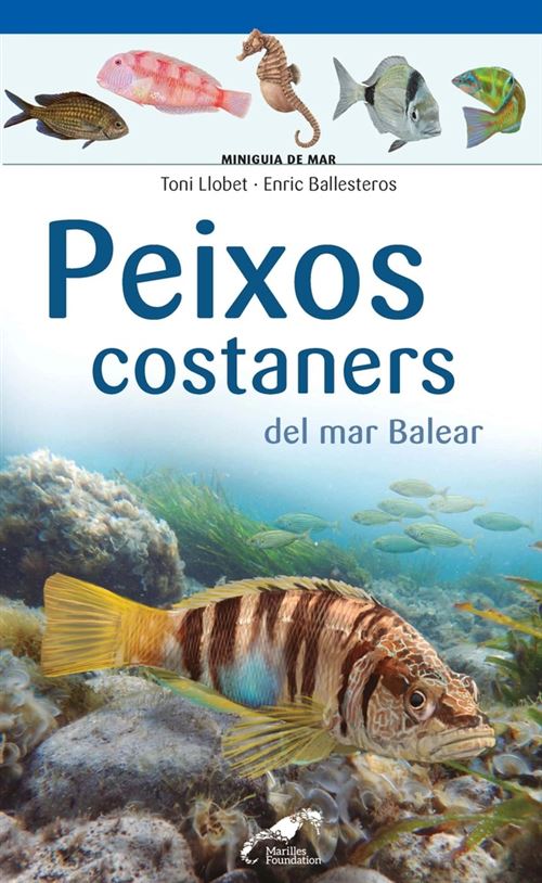 Cossetania Peixos Costaners Del Mar Balear