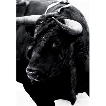 Sangre de reyes