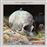 Signs Of Life - Vinilo