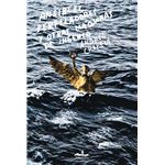 Ansibles, perfiladores y otras máqu