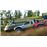 Forza Horizon 4 XBox One_12