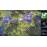 Battle Worlds: Kronos PS4_6