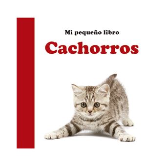 Cachorros